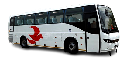 Buses & Coaches